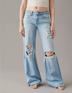 AE Strigid Low-Rise Baggy Wide-Leg Jean